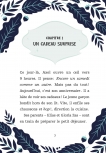 Aperçu 1